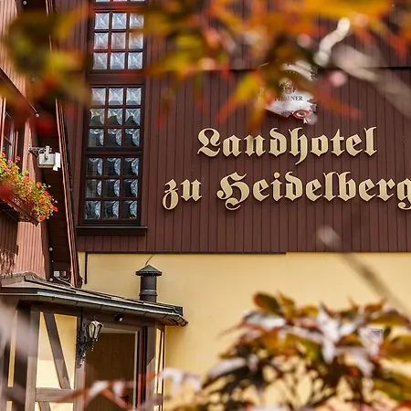 Hotel Zu Heidelberg 3*