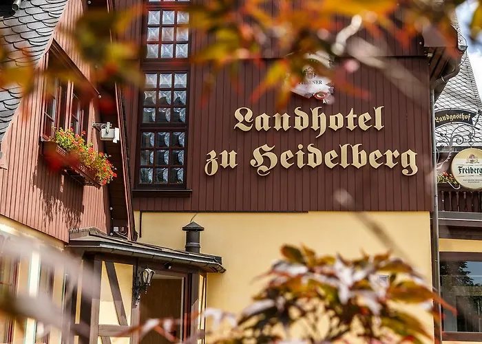 فندق Zu Heidelberg 3*